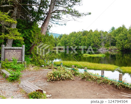 長野県山ノ内町 志賀高原 渋池周辺の風景より 長野県山ノ内町 志賀高原 渋池周辺の風景より 124794504