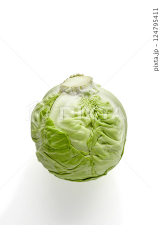 head of white cabbage isolated on white background 124795411