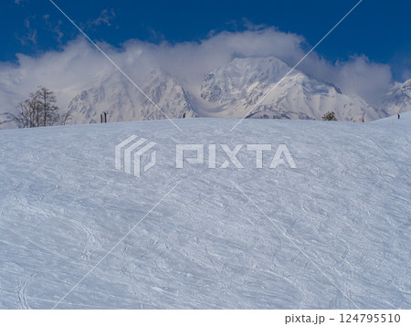北アルプスとスキー場ゲレンデ風景 長野県白馬村 北アルプスとスキー場ゲレンデ風景 長野県白馬村 124795510