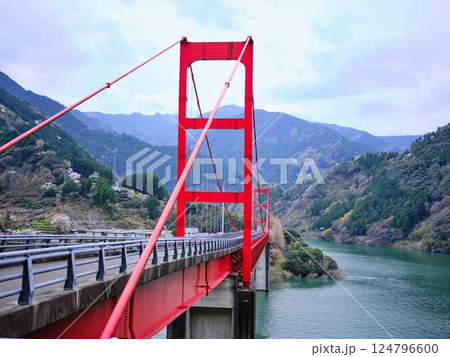 高知県　大渡ダム大橋　桜 124796600