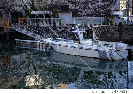 高知市の船着き場の桜　船 124796855