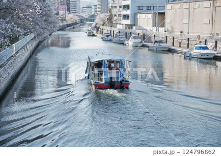 高知市の船着き場の桜　船 124796862