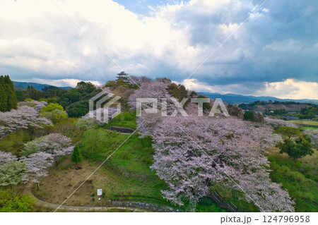都城市あじさい公園空撮　R7年 124796958