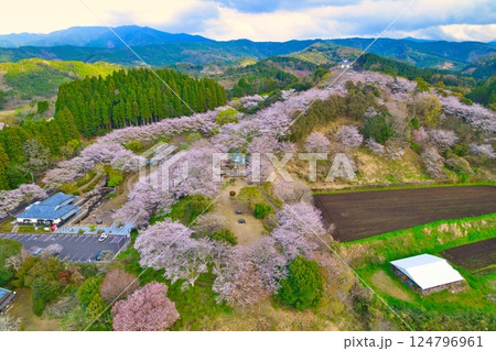 都城市あじさい公園空撮 R7年 都城市あじさい公園空撮 R7年 124796961