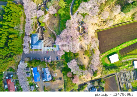 都城市あじさい公園空撮 R7年 都城市あじさい公園空撮 R7年 124796963
