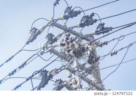 カラスの巣 電柱の上に烏の巣 撤去作業 停電原因 カラスの巣 電柱の上に烏の巣 撤去作業 停電原因 124797122