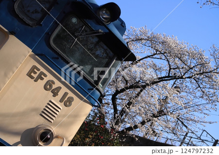 満開の桜に囲まれてひっそりと佇む勝沼ぶどう郷駅EF64-18号機電気機関車_2025/4/5撮影 124797232
