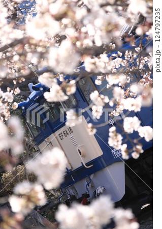 満開の桜に囲まれてひっそりと佇む勝沼ぶどう郷駅EF64-18号機電気機関車_2025/4/5撮影 124797235