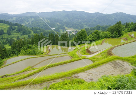 十日町市松之山・天水島の棚田 124797332