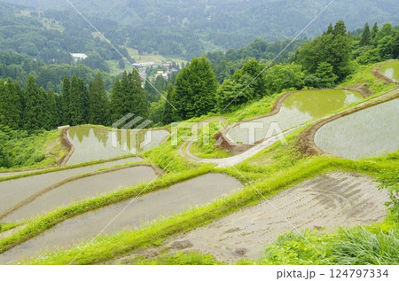 十日町市松之山・天水島の棚田 十日町市松之山・天水島の棚田 124797334