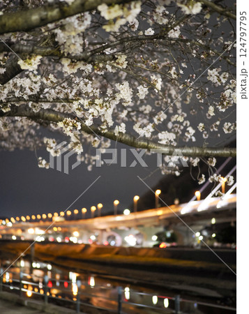 川沿いの夜桜 川沿いの夜桜 124797795