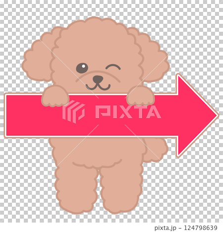 赤い矢印を持ったトイプードルのイラスト　右向きの矢印 124798639
