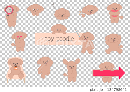 Cute apricot colored toy poodle character illustration set 124798641
