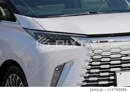 高級ミニバン 124798896