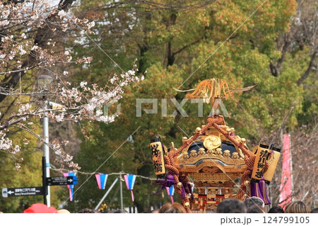 桜とお神輿 124799105