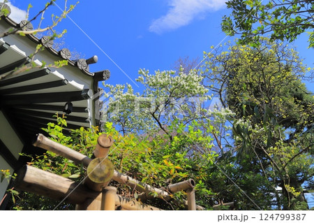 本行寺(ほんぎょうじ) 荒川区西日暮里三丁目 本行寺(ほんぎょうじ) 荒川区西日暮里三丁目 124799387