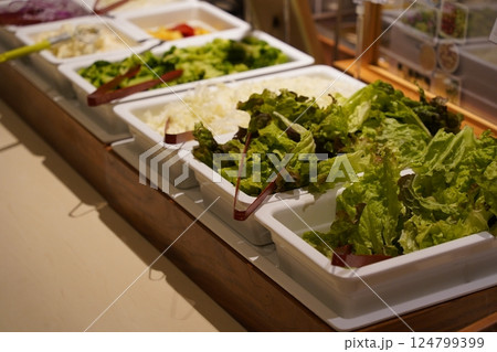 野菜サラダ ヤサイサラダ 野菜さらだ 124799399