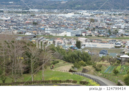 広々とした公園と街並み 124799414