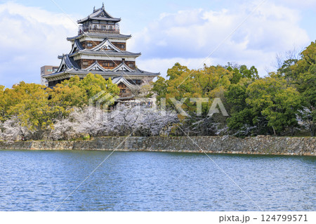 桜満開の広島城 124799571