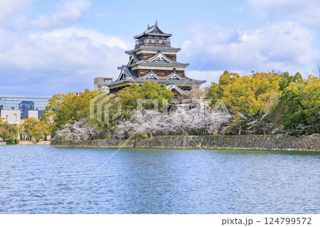 桜満開の広島城 桜満開の広島城 124799572