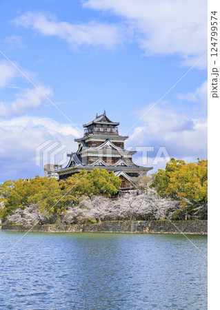 桜満開の広島城 124799574