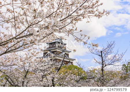 桜満開の広島城 124799579