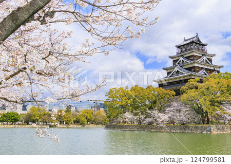 桜満開の広島城 124799581