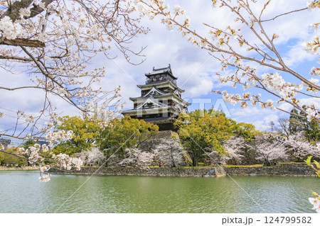 桜満開の広島城 124799582