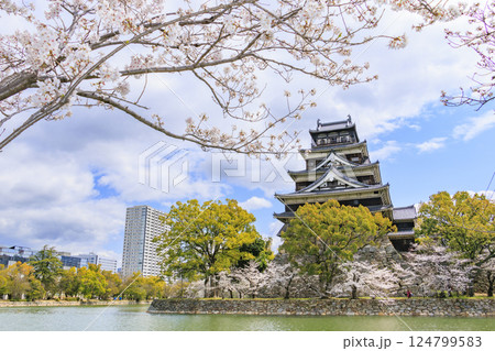 桜満開の広島城 桜満開の広島城 124799583