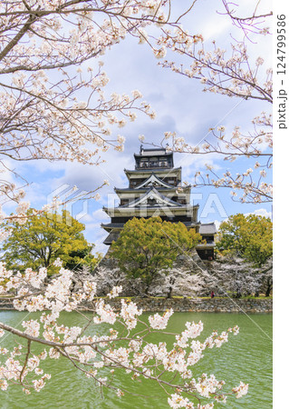 桜満開の広島城 124799586
