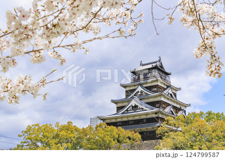 桜満開の広島城 桜満開の広島城 124799587