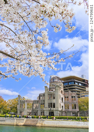 桜満開の平和記念公園 原爆ドーム 桜満開の平和記念公園 原爆ドーム 124799681