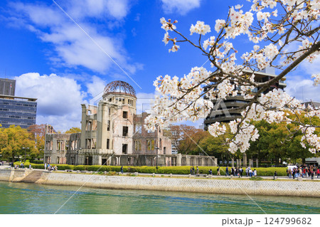 桜満開の平和記念公園　原爆ドーム 124799682