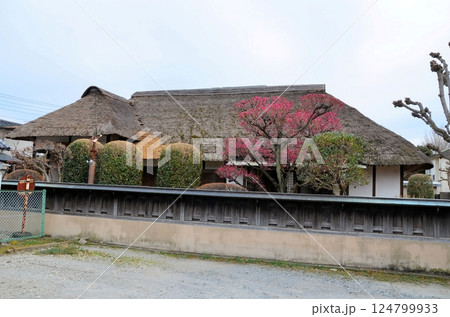 岩槻藩遷喬館 124799933