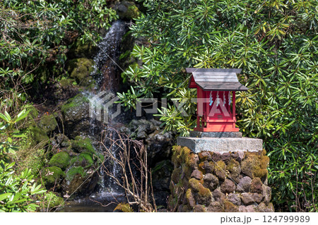 箱根神社の境内に佇む弁財天社と清らかな滝の癒しの風景 箱根神社の境内に佇む弁財天社と清らかな滝の癒しの風景 124799989