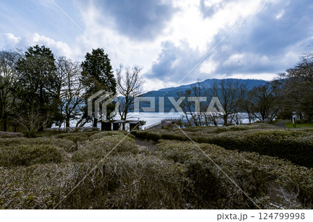 冬枯れの木々と芦ノ湖が織りなす箱根九頭龍の森の風景 冬枯れの木々と芦ノ湖が織りなす箱根九頭龍の森の風景 124799998