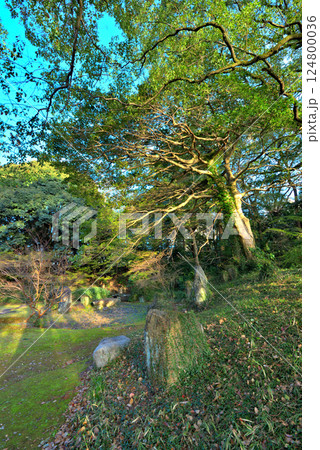 《愛知県》名古屋城三之丸庭園 124800036