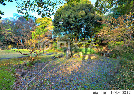 《愛知県》名古屋城三之丸庭園 124800037