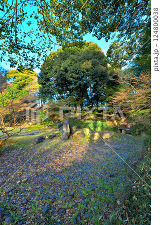 《愛知県》名古屋城三之丸庭園 124800038