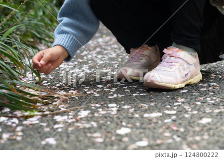 落ち花弁拾い 124800222