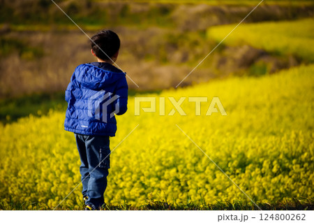 <花と人物>菜の花をスマホで撮影する少年 <花と人物>菜の花をスマホで撮影する少年 124800262
