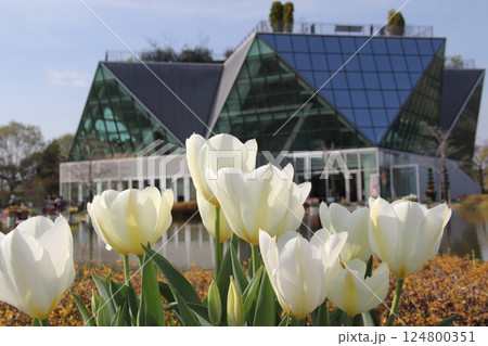 春の木曽三川公園江南フラワーパーク散策・26（愛知県江南市） 124800351