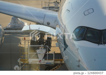 エアライン 航空会社 輸送 124800437