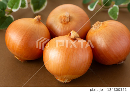 玉ねぎ 玉ねぎ 124800521