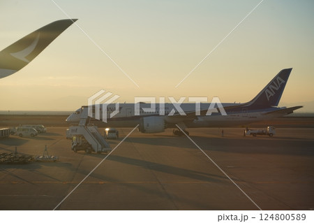 中部国際空港 名古屋 飛行機 124800589