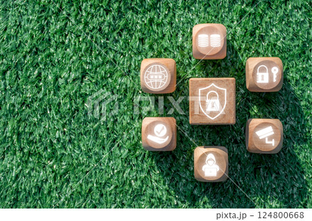 Wooden blocks with privacy icons on grass, symbolizing data security and personal information protection. 124800668