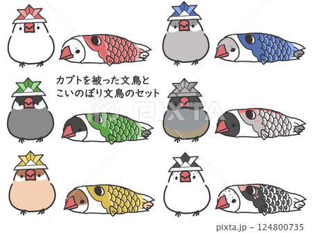 カブトを被った六種類の文鳥達とこいのぼりに入っている六種類の文鳥達のセット素材 124800735