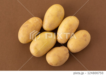 メークインじゃがいも 124800750