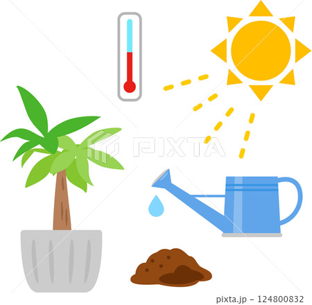 観葉植物と日光、気温、水、土のイメージ 観葉植物と日光、気温、水、土のイメージ 124800832