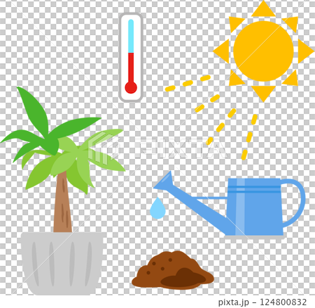 観葉植物と日光、気温、水、土のイメージ 観葉植物と日光、気温、水、土のイメージ 124800832